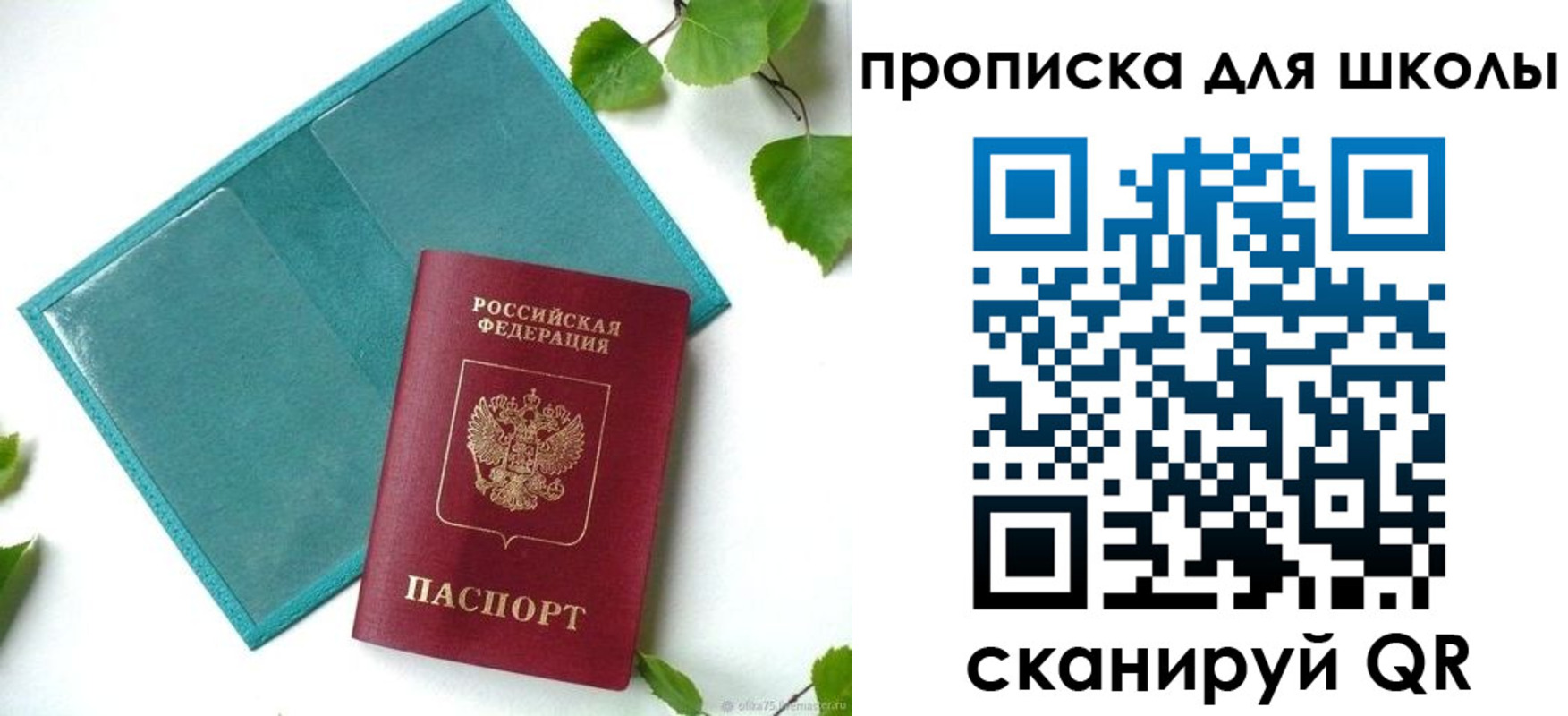 прописка в Волосово